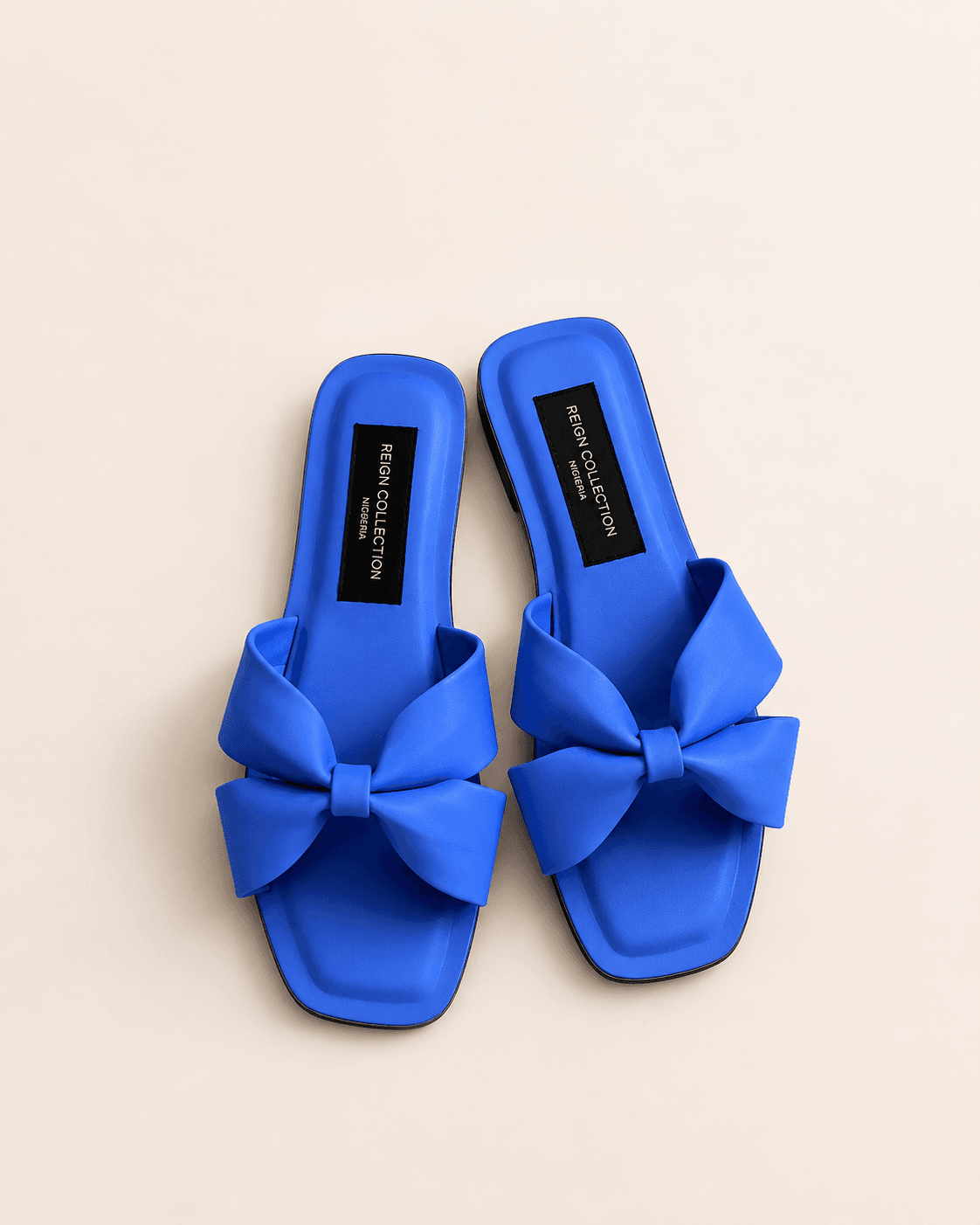 The Bluey Slides